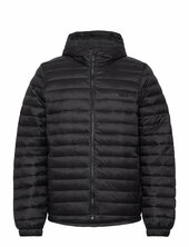 Axis Peak Durable Water Repellent Hooded Jacket Black Vuorillinen Takki Topattu Takki Black Timberland