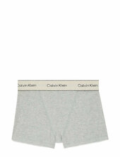 Boxer Brief Hipsterit Alushousut Alusvaatteet Grey Calvin Klein