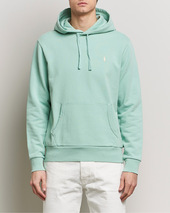 Polo Ralph Lauren Loopback Terry Hoodie Celadon