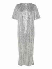 Barbaraiw Long Dress Polvipituinen Mekko Silver Inwear