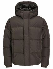 Jjebradley Puffer Hood Sn Vuorillinen Takki Topattu Takki Brown Jack & J S