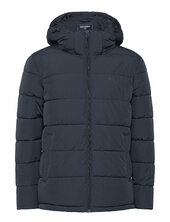 Jasper Puffer Jacket Vuorillinen Takki Topattu Takki Navy Sebago