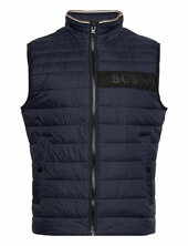Darolan Liivi Blue Boss