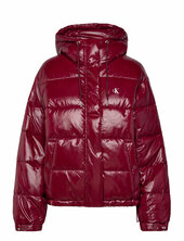 Shine Puffer Jacket Vuorillinen Takki Topattu Takki Burgundy Calvin Klein Jeans