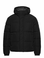 Jjebradley Puffer Hood Sn Vuorillinen Takki Topattu Takki Black Jack & J S
