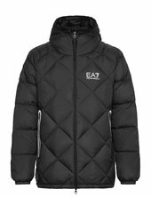 Down Jacket Vuorillinen Takki Topattu Takki Black Ea7