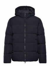 Down Hooded Puffer Jkt Vuorillinen Takki Topattu Takki Navy Tommy Hilfiger