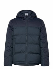 Hooded Jacket Vuorillinen Takki Topattu Takki Navy Champion