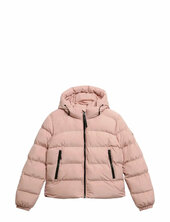 Hooded Sports Puffer Jacket Vuorillinen Takki Topattu Takki Pink Superdry